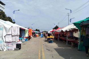 岩寺镇网红,网红打卡地，古韵新潮的江南水乡魅力之旅