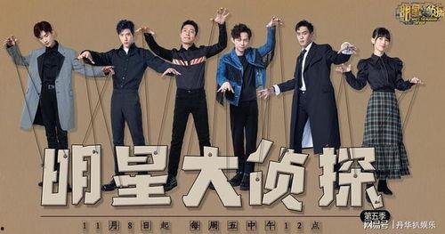 明星大侦探真相,揭秘真相背后的悬疑谜团