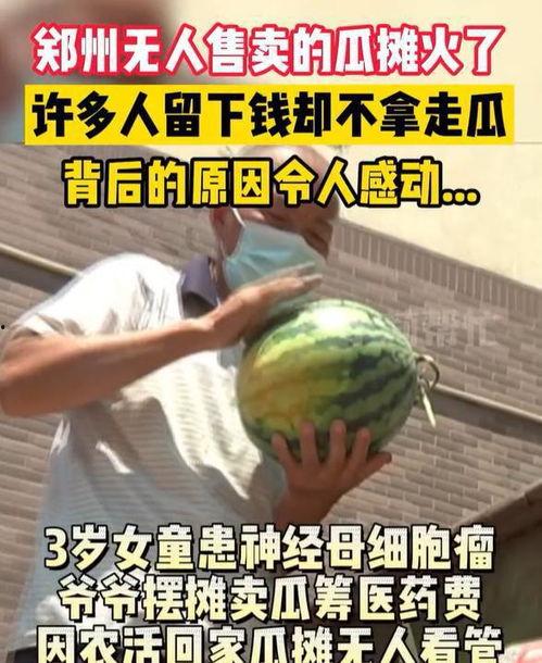 吃瓜天天赚不到钱,为何天天赚不到钱？