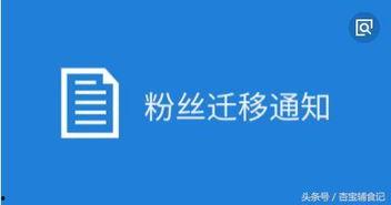 搜索关注过的头条号,盘点那些引人关注的精彩内容
