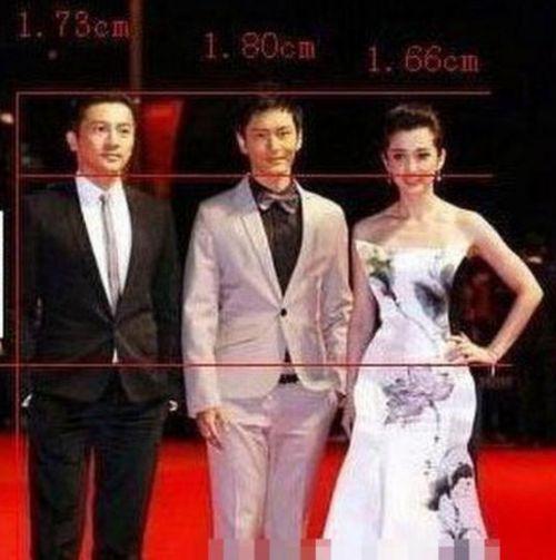 明星志愿身高,明星志愿中的高挑身影