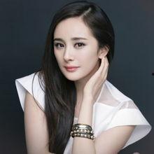 娱乐明星徐静蕾小说,娱乐圈的繁华与孤独