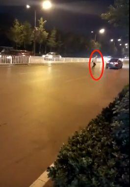 盘点网红碰瓷视频