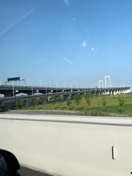 深圳大桥今日头条,见证历史变迁，深圳地标桥梁焕新风采