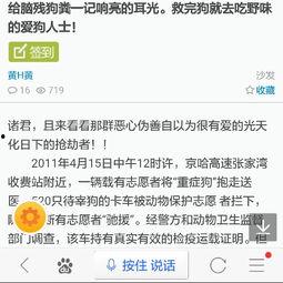 今日头条爱狗人士评价