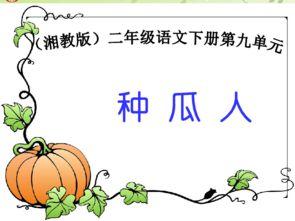 凌的吃瓜日记ppt,揭秘娱乐圈幕后故事