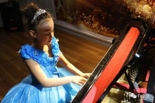 明星名字带琴,探寻乐坛琴音背后的璀璨人生